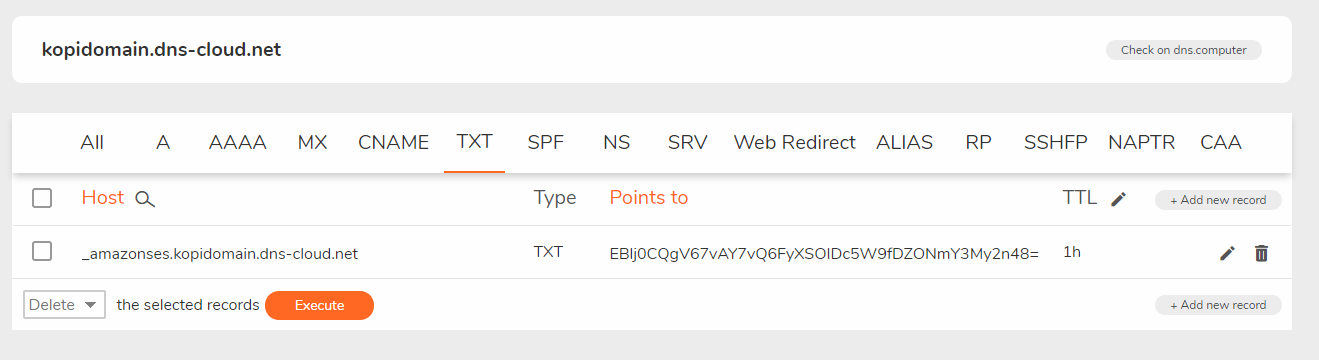 DNS TXT record